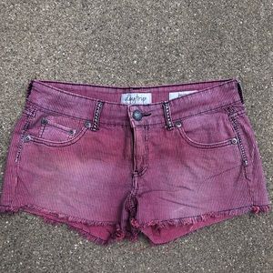 Day trip Shorts